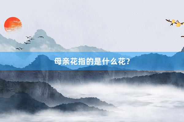 母亲花指的是什么花？