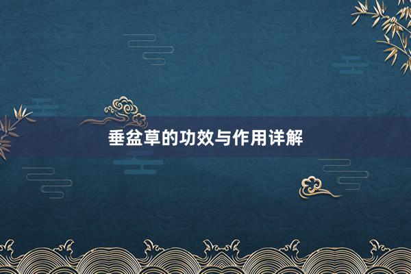 垂盆草的功效与作用详解