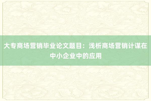 大专商场营销毕业论文题目：浅析商场营销计谋在中小企业中的应用